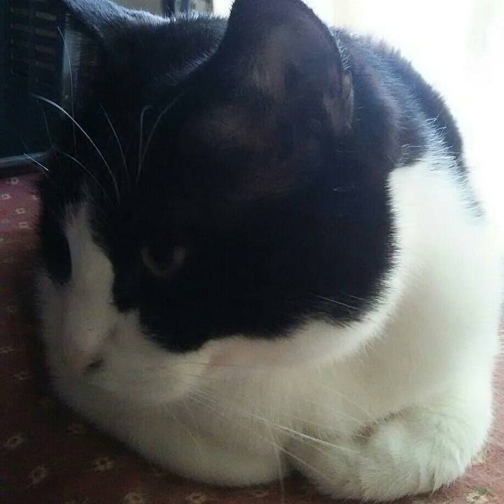 1dc6c885 affc 4e9c 87d2 67277f172ec8