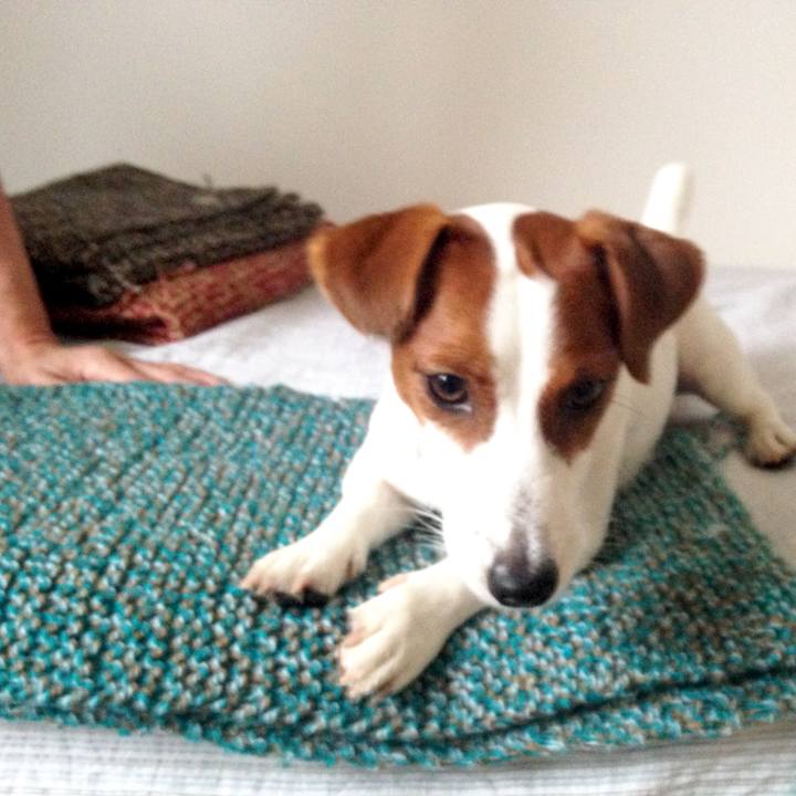 1dc721aa 5b21 4a6e 8c6f 5b7a241706bc