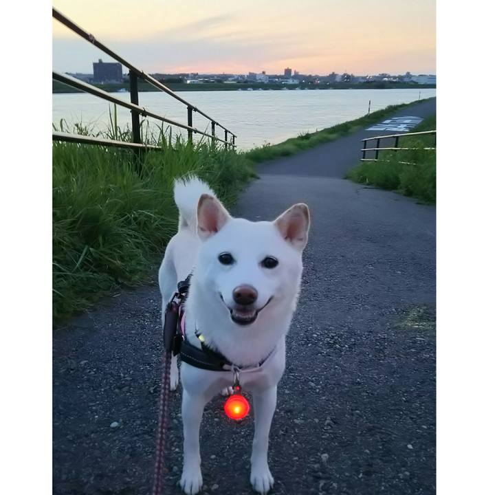 1dc7455c 2403 4257 9b75 dfd481a83a5a