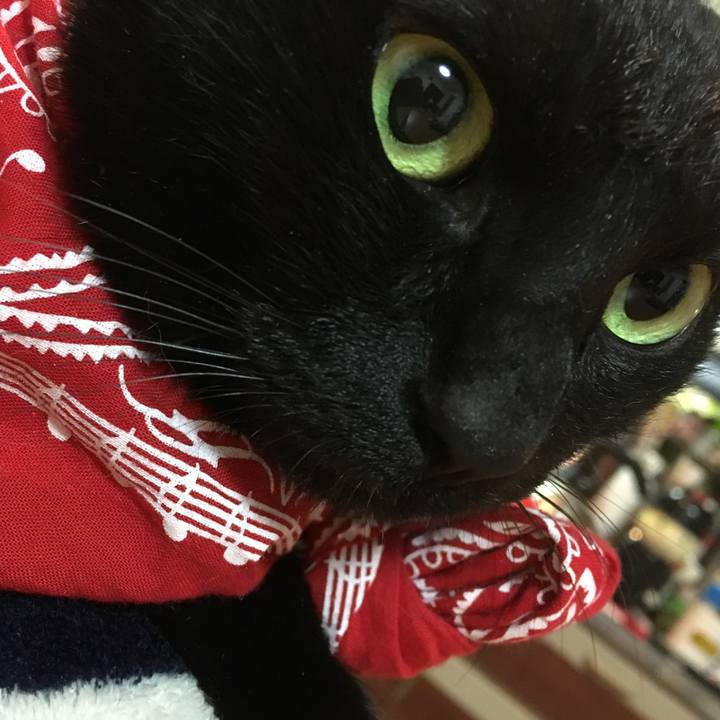 1dc776f7 8646 4204 b92d 1b3a59caba94