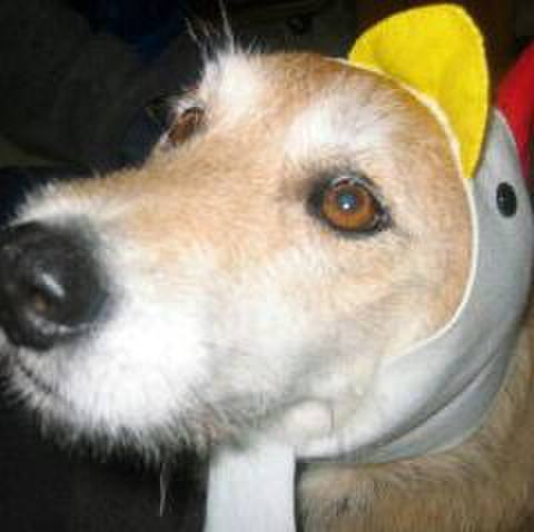 1dc86d26 7e55 49bc ba34 d8e430b8d128