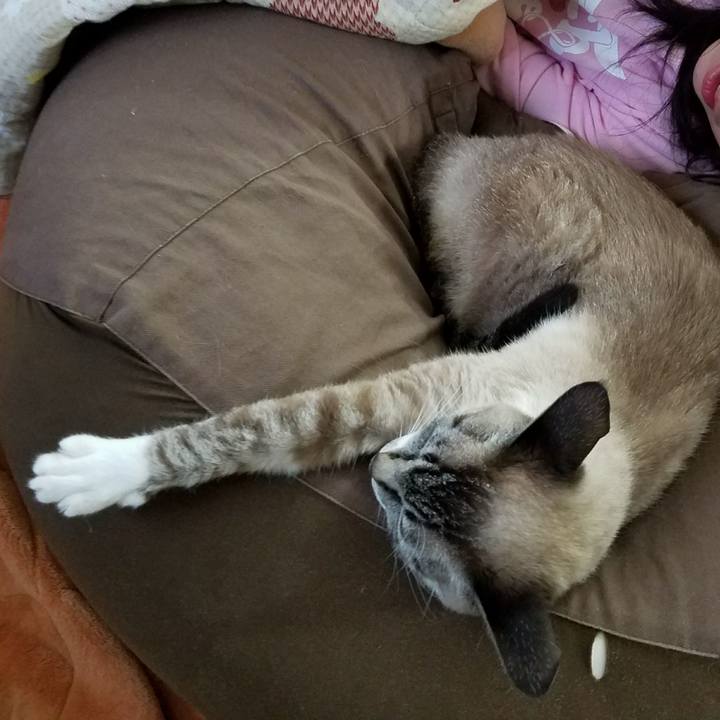 1dc8764b 4674 4f66 8991 39602012c1a8