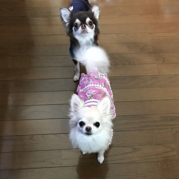 1dc9fa2c c74d 4cda a989 0b4e50947162