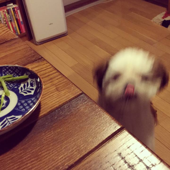 1dca4a47 be39 4963 b836 4061b464ca6c