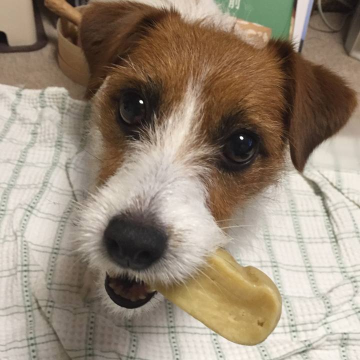 1dcabc10 bd37 45f6 b22a 090f4c3f31e1