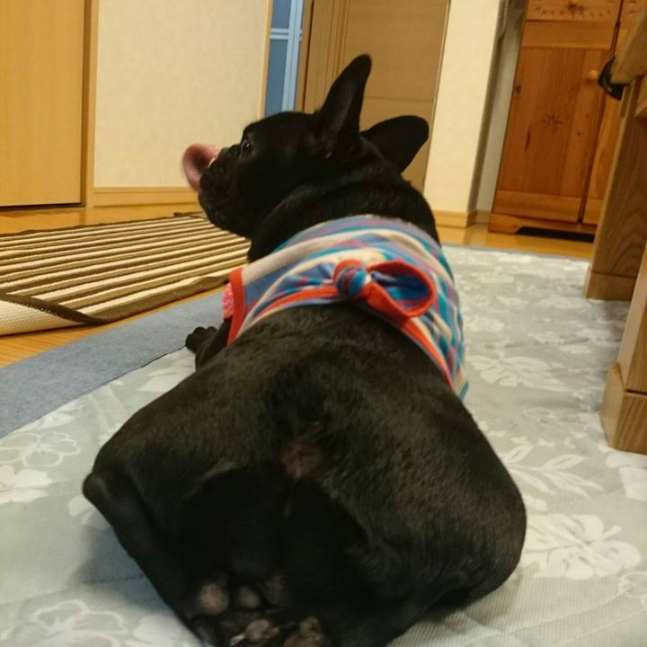 1dcb4250 cf50 460e 9d14 8b620de73b6e