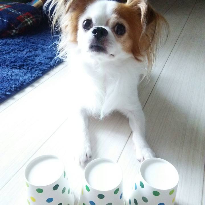 1dcb8512 36a9 4b80 adba 462e8888fbd8