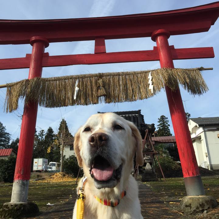 1dcb8637 75e9 45fa 8911 40fa2778b246