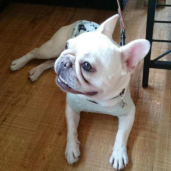 1dcbb74a b861 4b32 bd8b 475708163f12