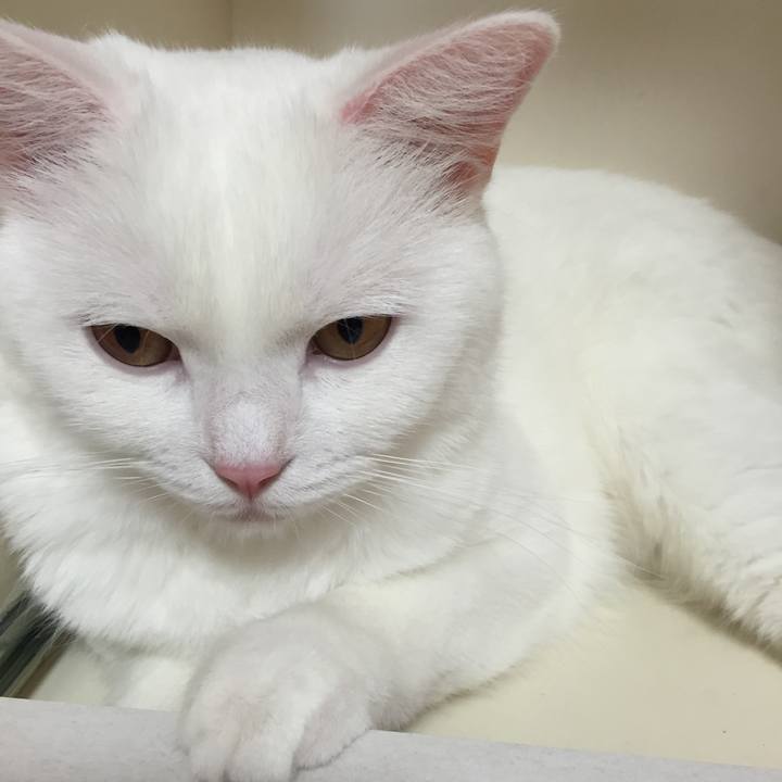 1dcbd5e6 8280 423e 99dc aec874b1a98d