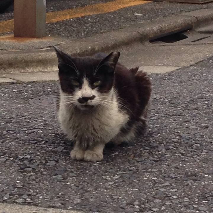 1dcbd8e2 1fe2 4519 8340 c1f82f72eb29