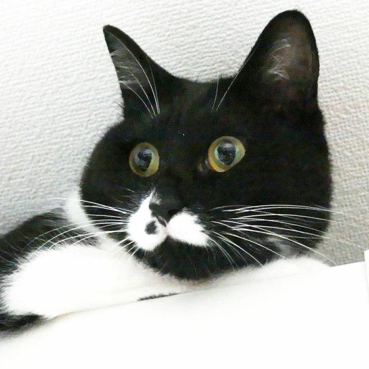 1dcc2447 cf59 4244 a759 c2f266ffb921