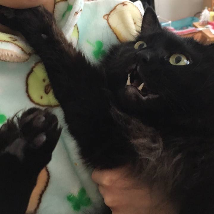 1dcc262d e0b7 4ea8 9d6f 0d07652df614