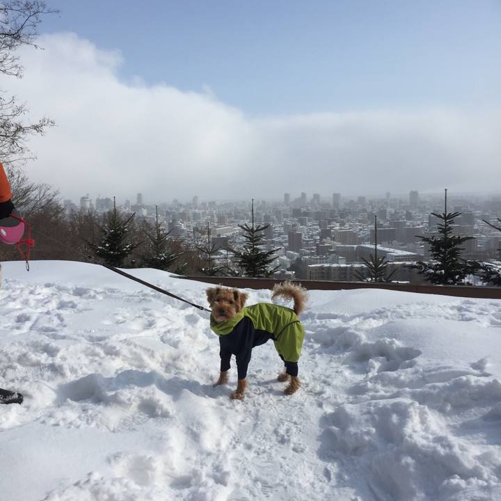 1dcc5543 62b4 4b25 bb7c 6463edeb4436