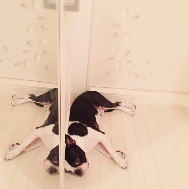 1dcd8a23 2fd6 42c1 aac0 37a07eebf0c1