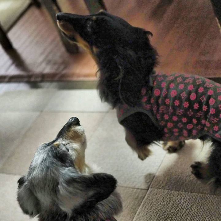 1dce0fc5 7687 43a0 a1cf d7f33efa07b8