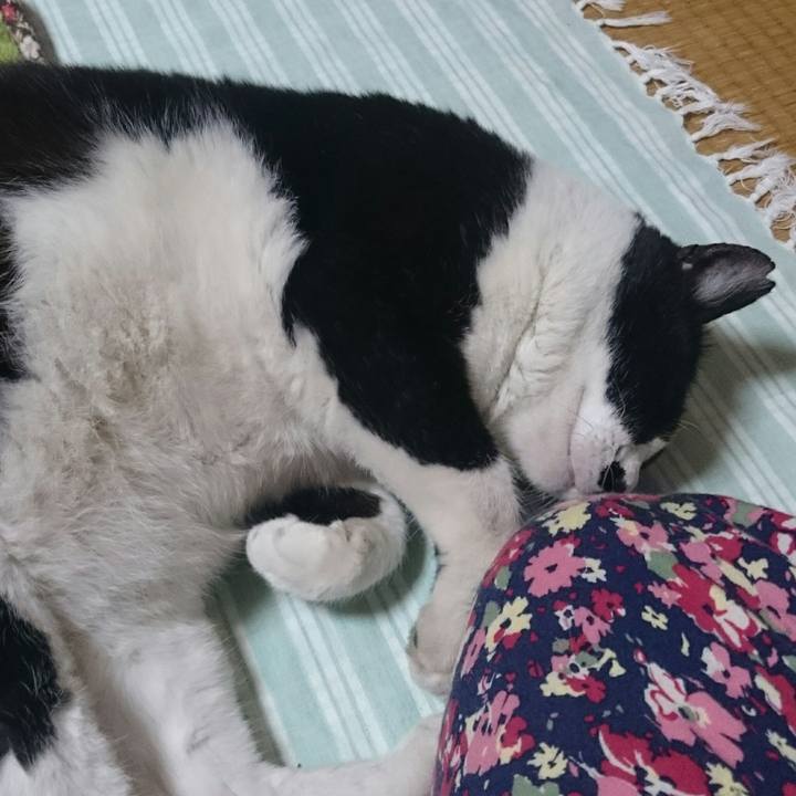 1dce52c7 7d3f 406e a738 b6df3d230988