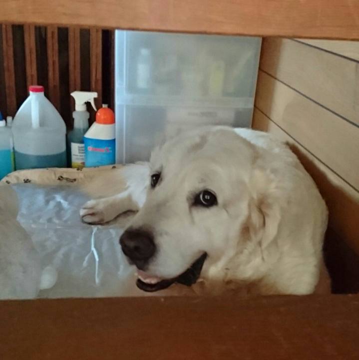 1dcf7ed2 1801 4f70 a8ce 3cbbf2c4917e