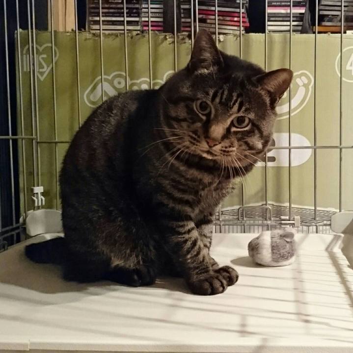 1dcfb32b 3c73 43cb 89d5 4f58aa3d7bc1