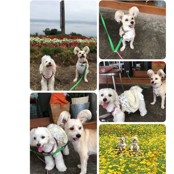 1dcfc1eb aad2 49e4 b6fc 285183c90ca2