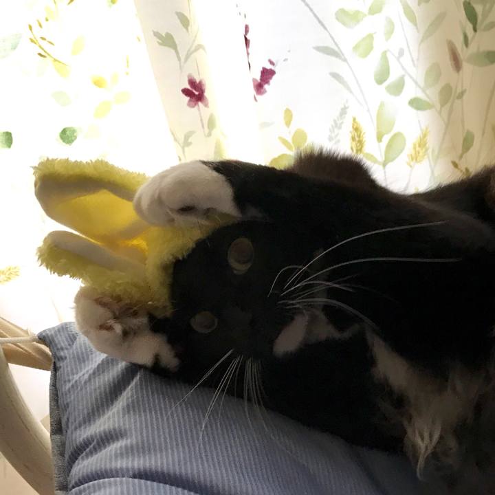 1dcfdeda 00ae 4e26 945e 73ff22440e57