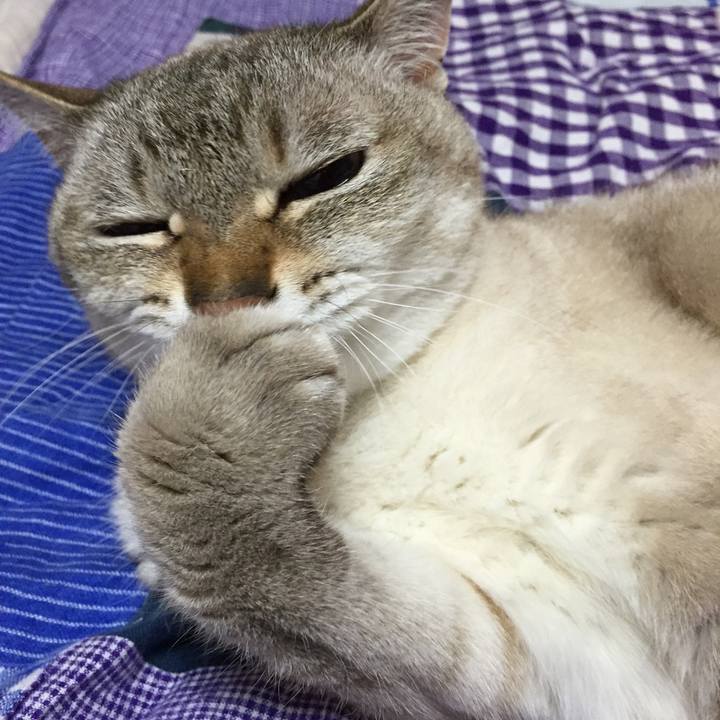 1dd01b17 e57a 443f aba6 f46b4aeab7ea