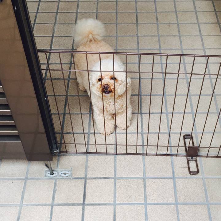 1dd0ca95 d17e 48ea 9074 1b5007850a80