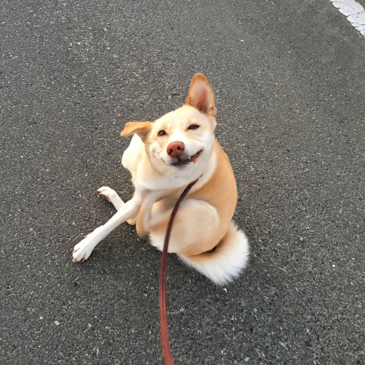 1dd0e6a2 6fe5 48f0 aabf 12cff84c4092