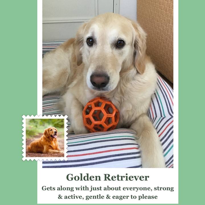 1dd15fcb f847 468f b329 ea5f1356a0eb