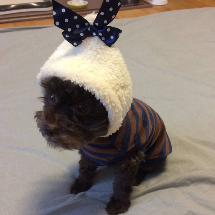 1dd1915a f44c 4248 890e 18726dc9fae7