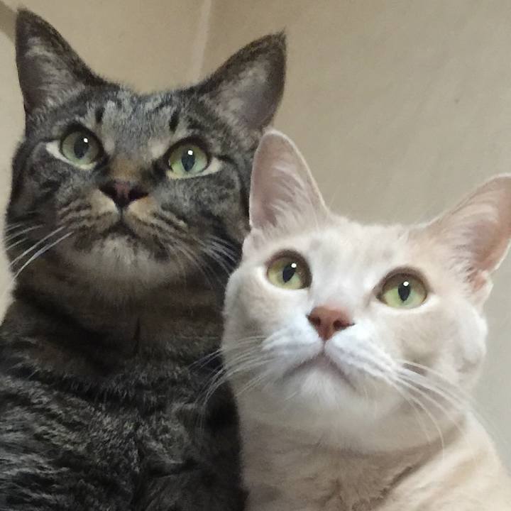 1dd2dff5 c1ac 4ef5 b584 104a988daab8