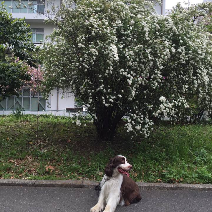 1dd3b9f3 bd8c 445e 9859 8f31d35e31a3