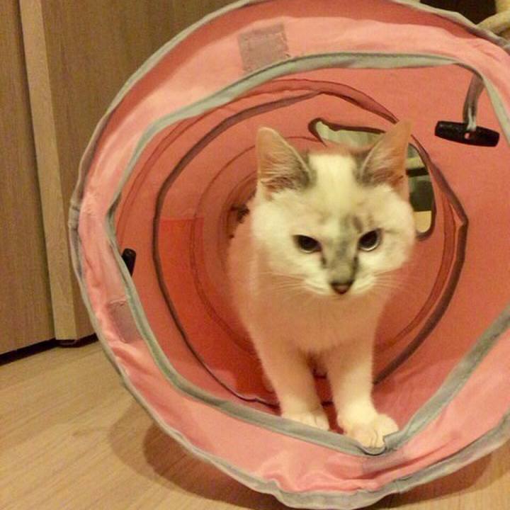 1dd3e2d5 0bb5 4c1a bf75 d55f5caf5bea