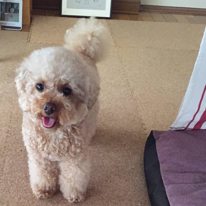 1dd411db f523 4604 b5a7 b26f04778217