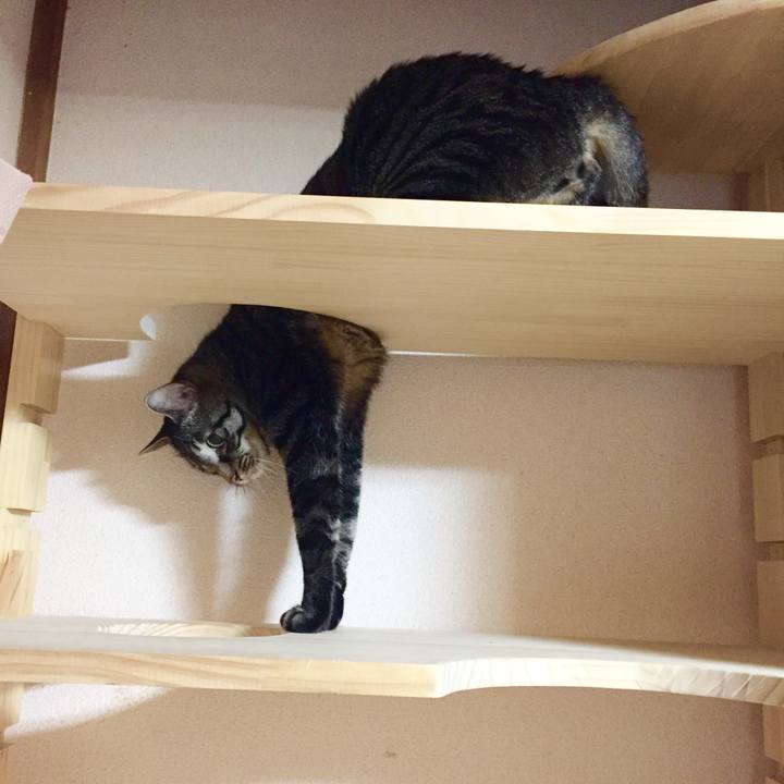 1dd43e4f 27be 46bf 8c6e c9d6b2888d43