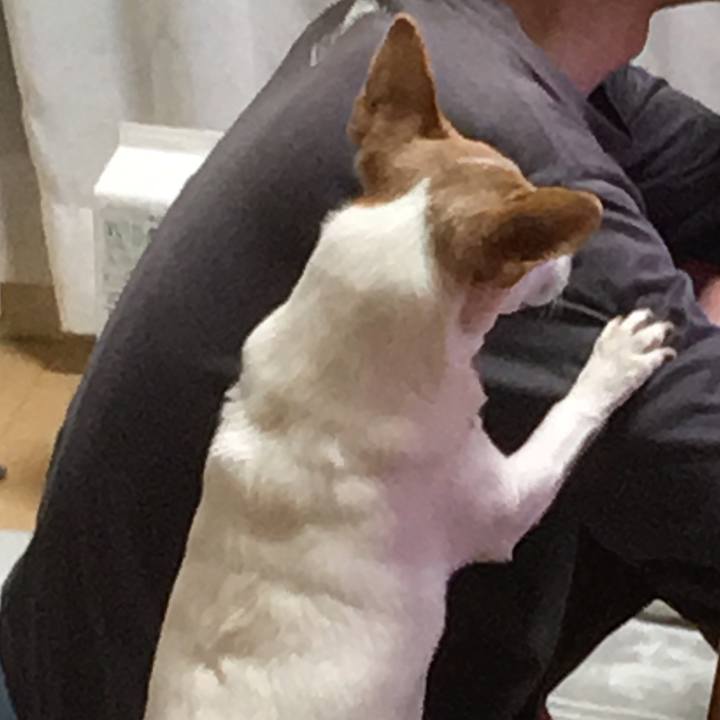 1dd452fa 3665 4f54 ba21 0dd15324833b