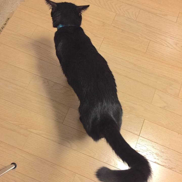 1dd46d4e a8da 457d 99ad 840140a85418