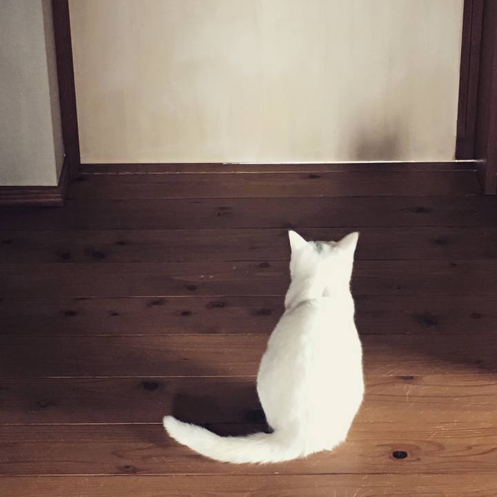 1dd5bac6 04f1 41ba 8e07 fb1345399f54