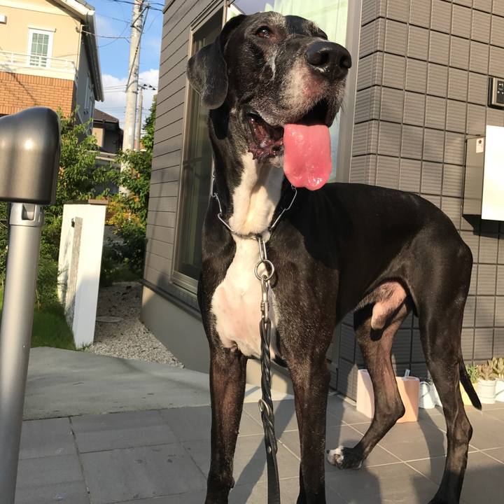 1dd5e352 0923 480d 840c 6a6b029cbbda