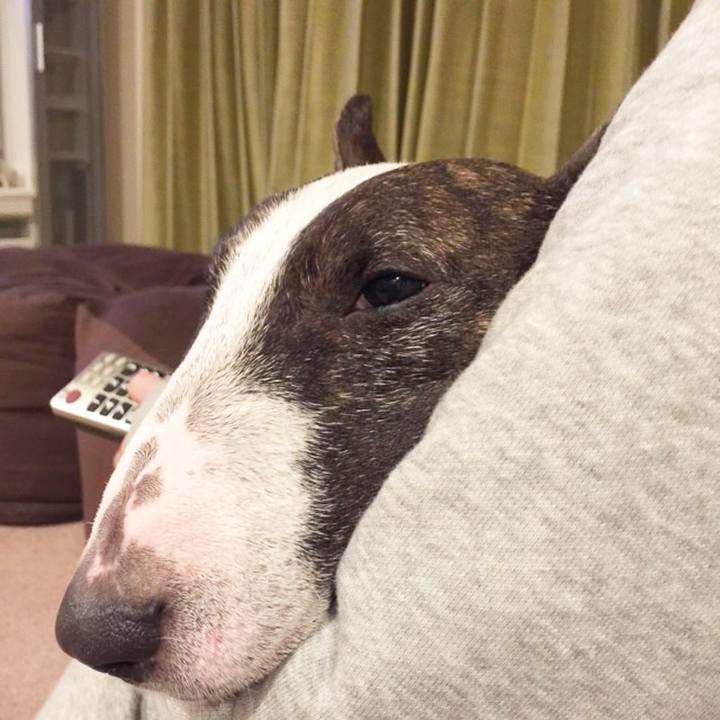 1dd6bcb1 e4ed 4e86 bfc4 73c577c9bc55