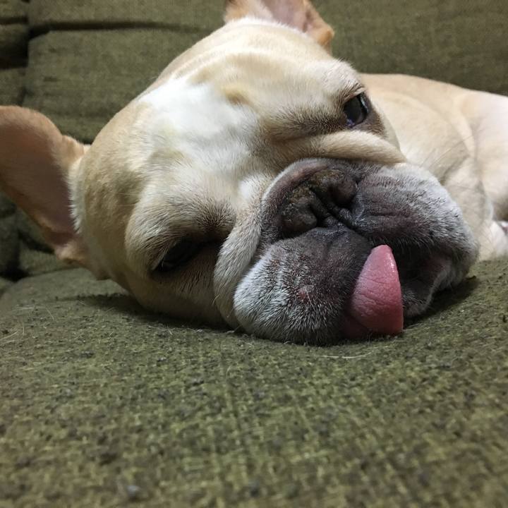 1dd6de73 128d 4905 b48d a5a82370bc48