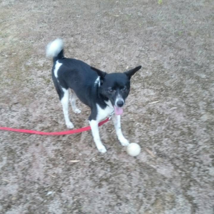 1dd73957 523f 4160 a06c 53ab4f7039ff