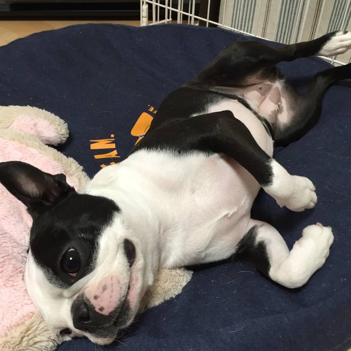 1dd82299 9515 44e3 b76d ebee4ab8e48c