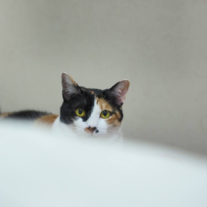 1dd881f7 e526 47c2 84ad 1a335627844f