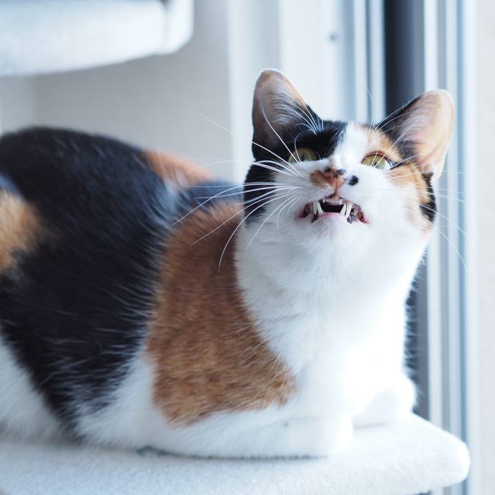 1dd89c82 fc39 4ba1 a421 e517911a20dc