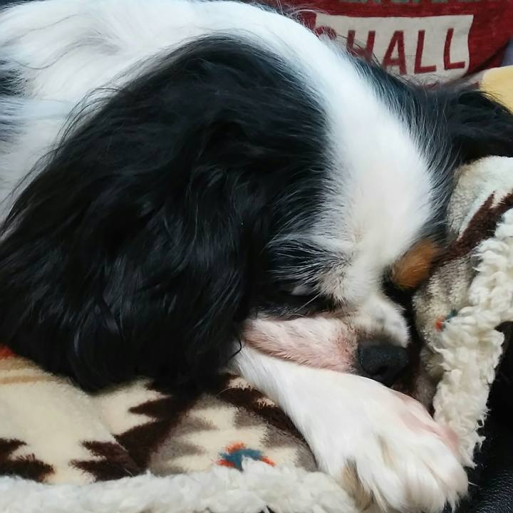 1dd8f504 dd1f 4ac0 9e7c 644dff230af3