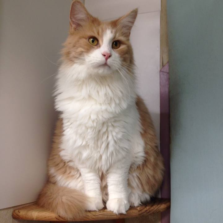 1dd93450 23d4 4391 a38b e40105d73c09