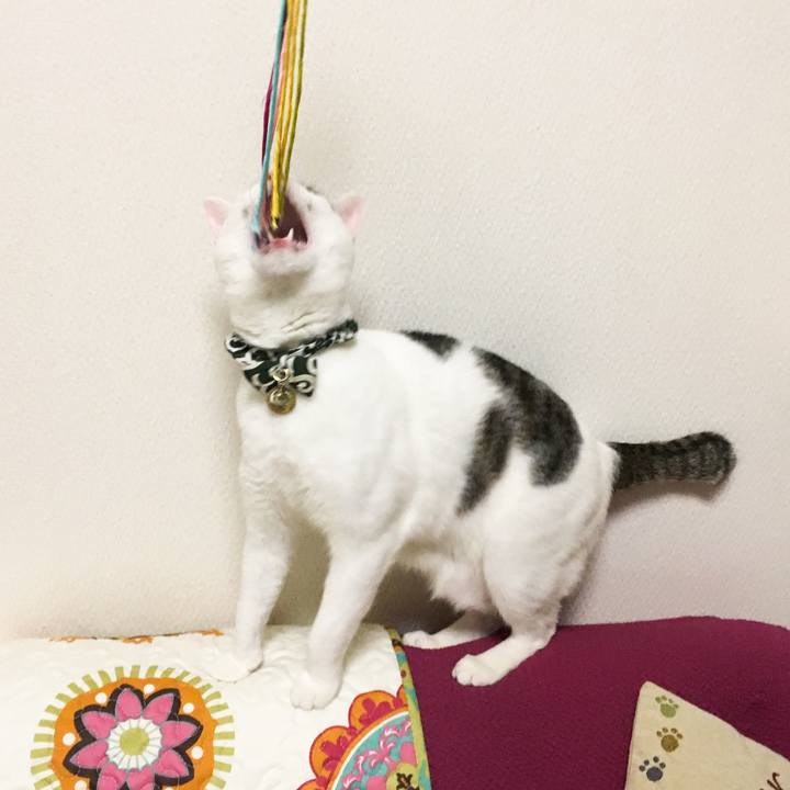 1dd964f3 3f01 4a6f bc40 e779002f240e