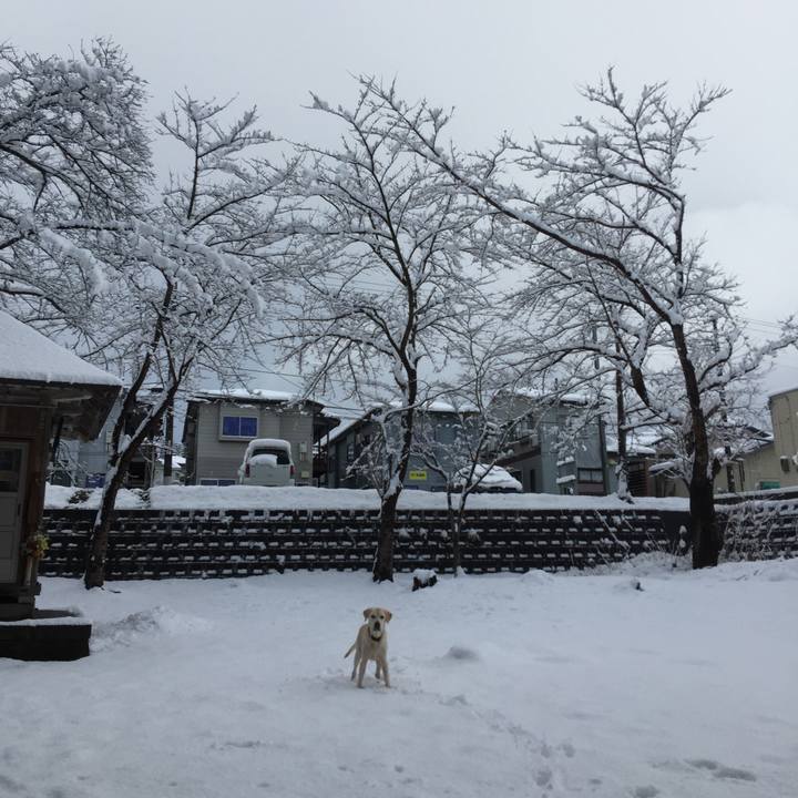 1dd9b966 d345 41e6 b4a5 3d98bfb672ec