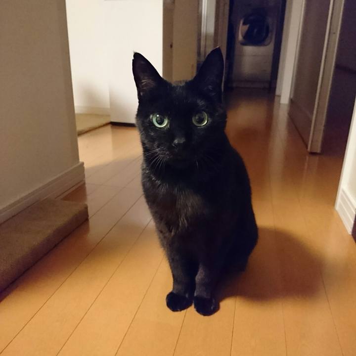 1dda920d ec18 4a89 8209 0010bdc413a8